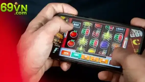 69vn.com